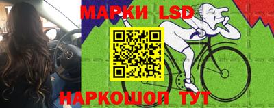 дмт Будённовск