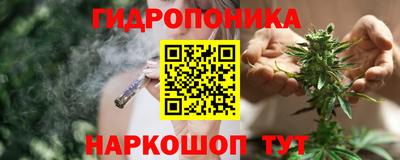 дмт Будённовск